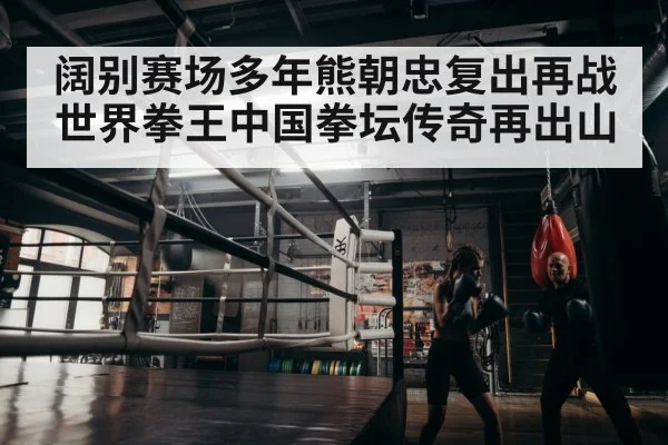 boxer training